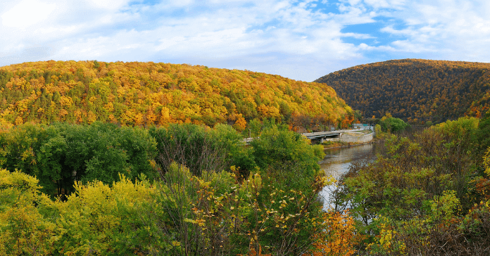 Approximately 70% of Pennsylvania's forest lands are owned by private, non-industry landowners.